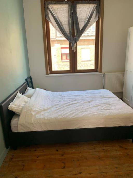 Burgerwoning Bij Brugge Βίλα Εξωτερικό φωτογραφία